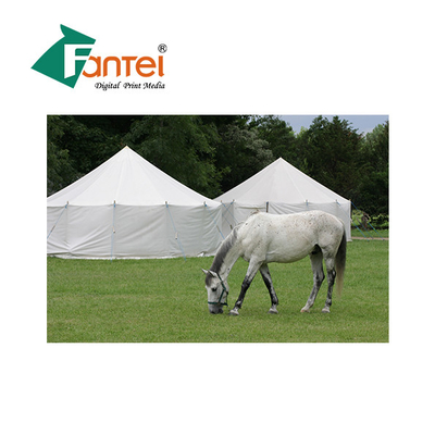 650gsm Polyester Tarp Vải chống cháy Chống thấm nước Tùy chỉnh